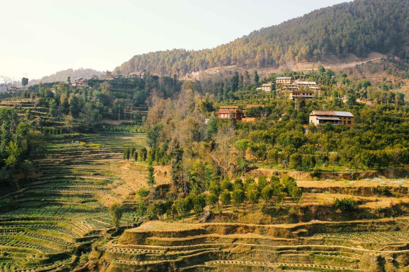 Two thirds of the Nepali population are engaged in farming activities
