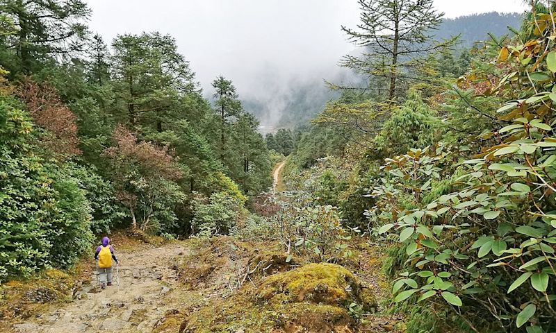 Helambu-trek-Nepal.jpg