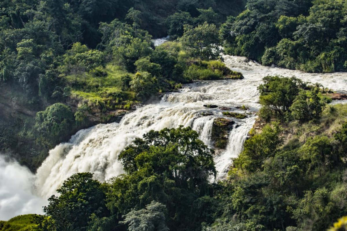 Murchison Falls from above