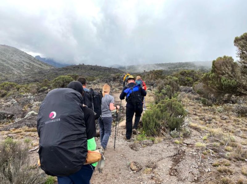 Kilimanjaro trekkers, physical preparation