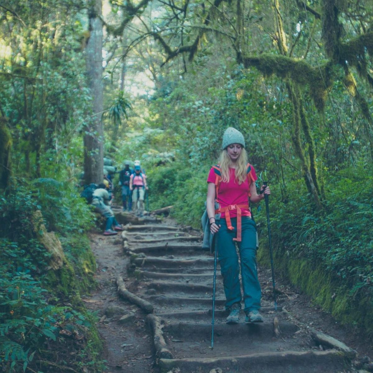 Young female trekker in red shirt and holding trekking poles walks down a stepped forest path on Kilimanjaro