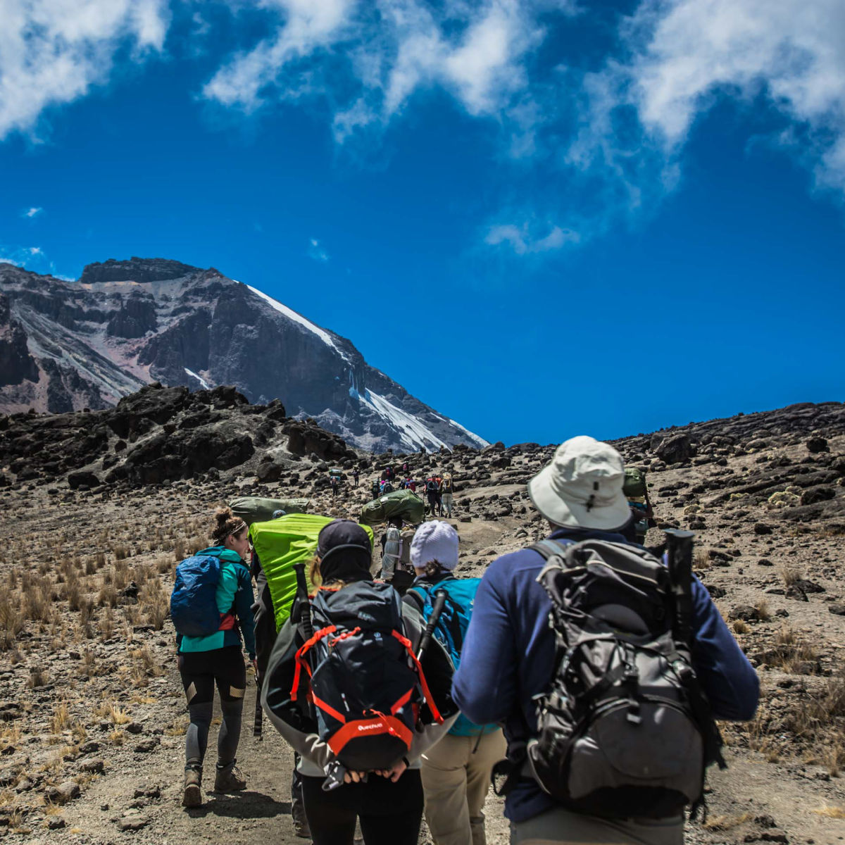 A line of Kilimanjaro hikers walking towards the peak and away from the camera on the Marangu route