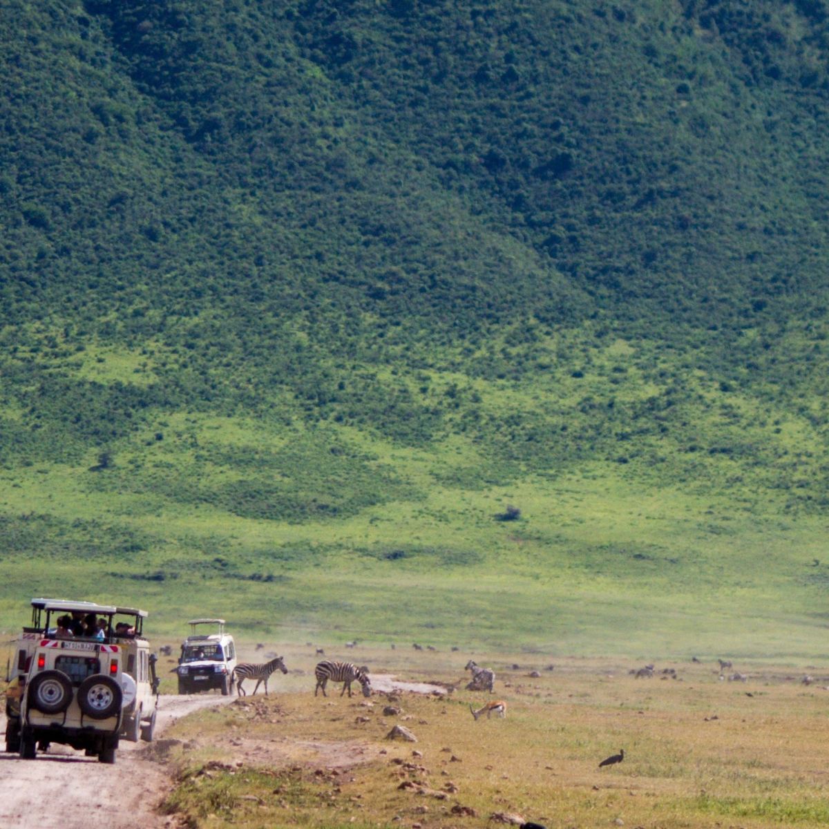 Safari vehicle on game drive in Ngorongoro Crater