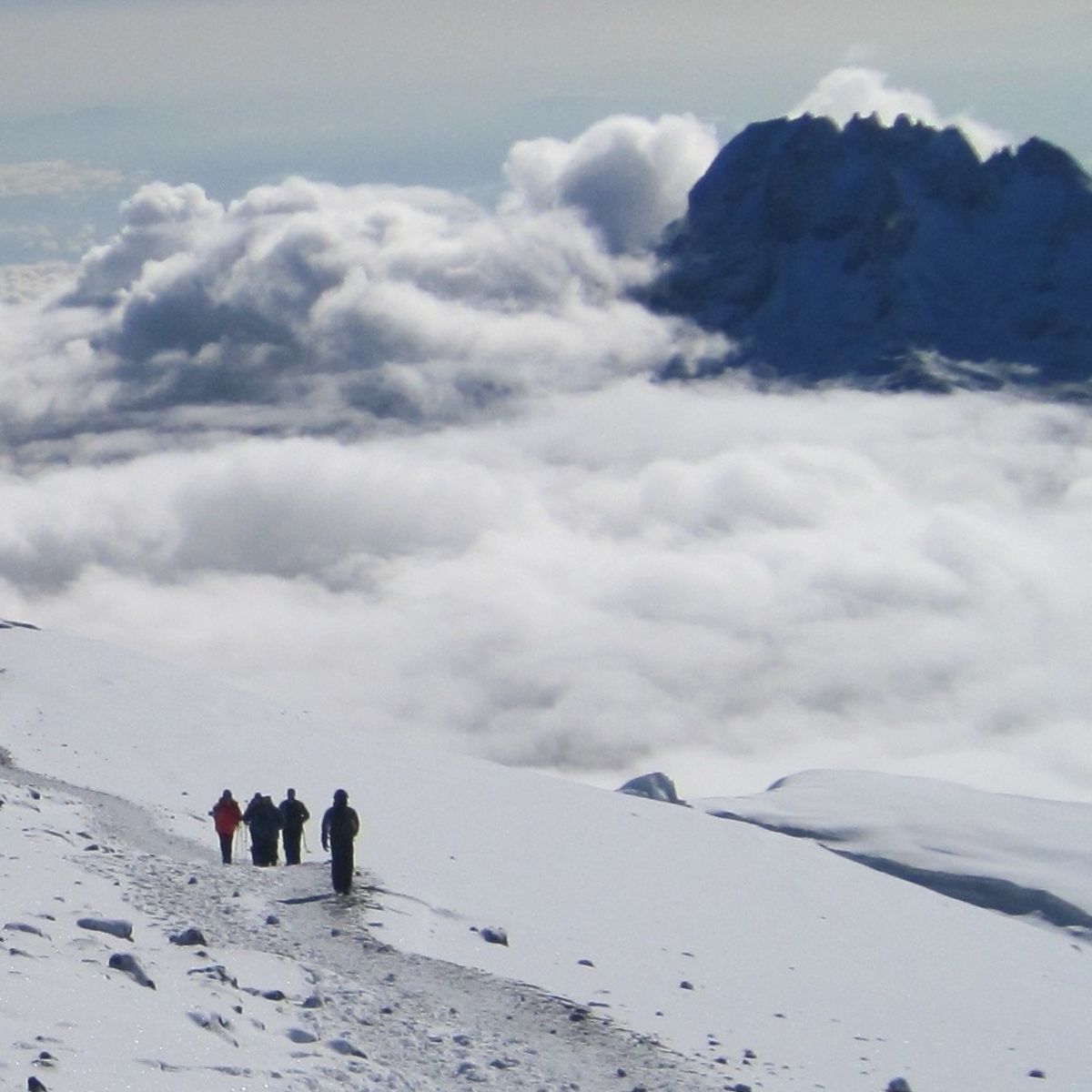 Snow and trekkers on Kilimanjaro summit