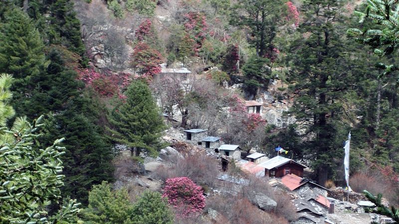 Sagarmatha NP, view of village, rhododendrons, Image by GRID-Arendal on Flickr