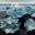 Ours. Iceland Diamond Beach