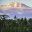 Rainforest and peak of Kilimanjaro