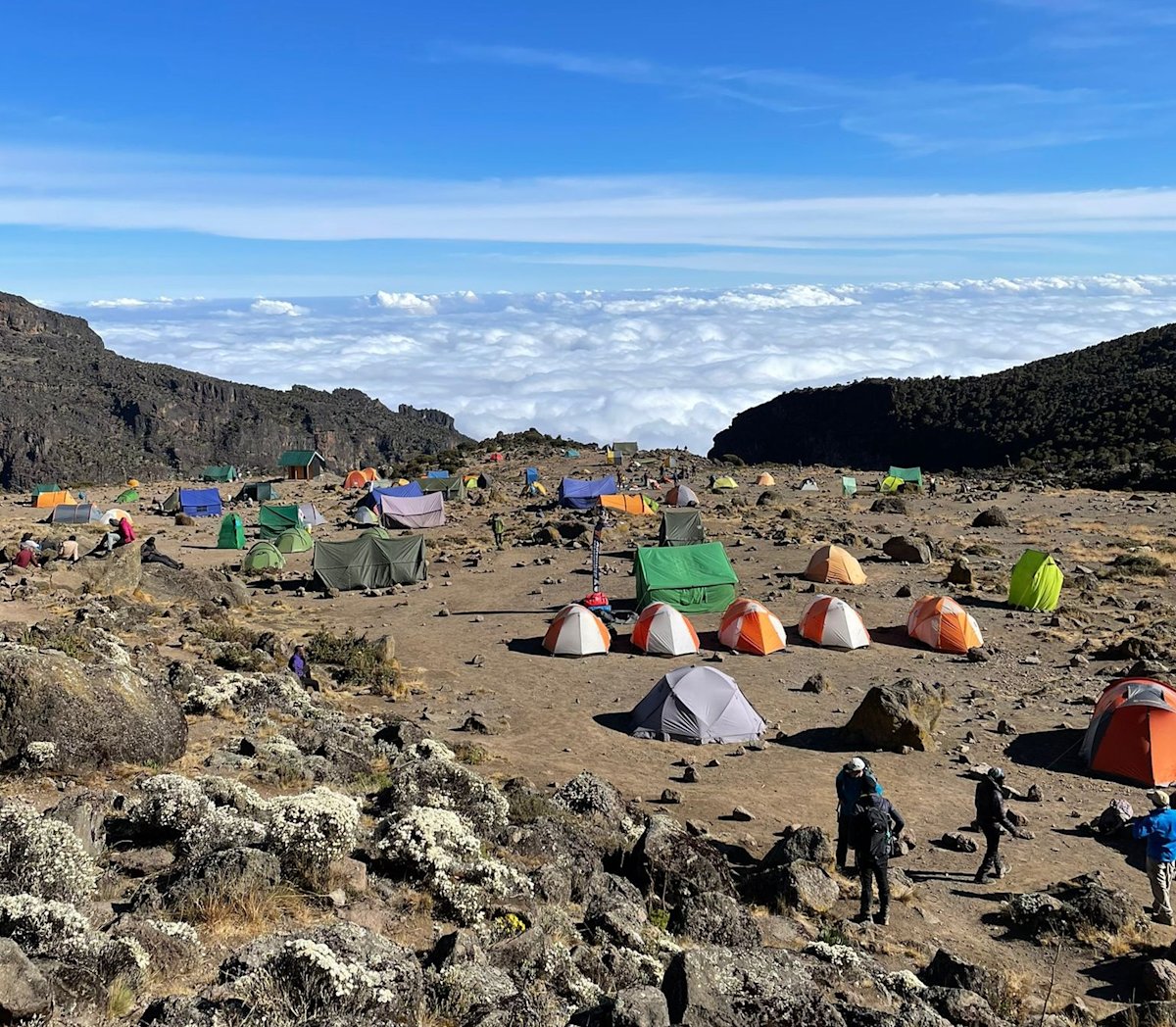 Lemosho Route - Campsite on Kilimanjaro