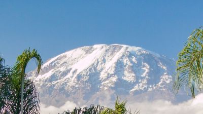 Mount Kilimanjaro seen from a distance with subtropical vegetation framing the snowy peak in the distance