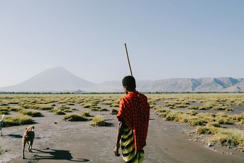 Maasai man and dogs