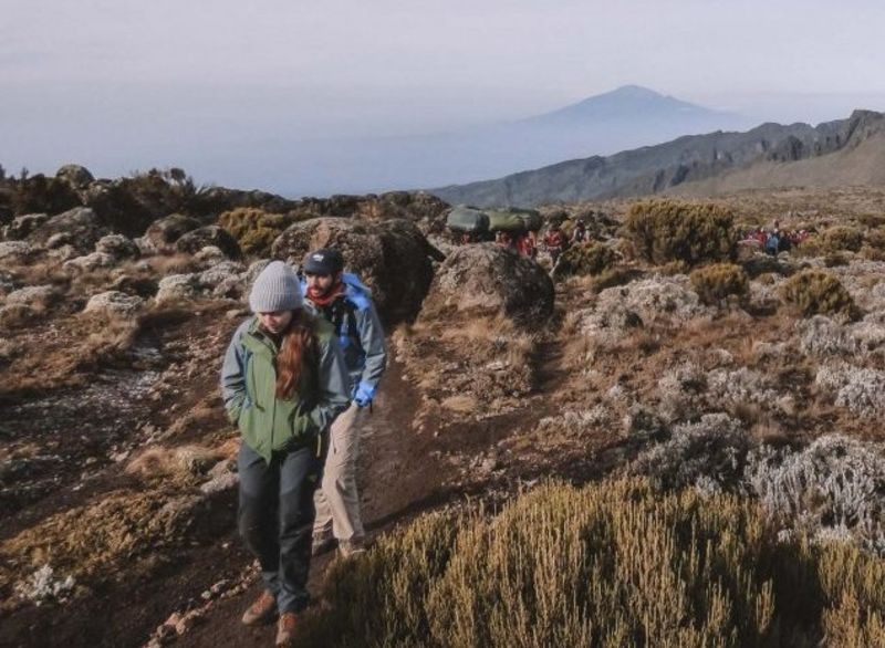 A long line of hikers walking through open moorland on the Lemosho ascent route of Kilimanjaro