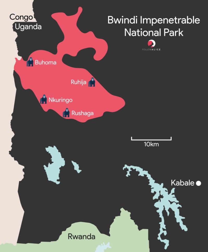 Follow Alice map of the different sections of Bwindi Impenetrable National Park in western Uganda