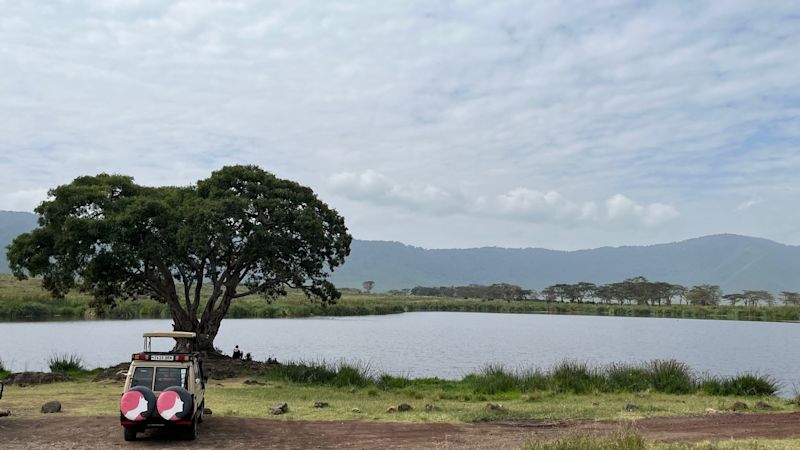 Luke. Ngorongoro Crater Follow Alice FA vehicle safari Tanzania