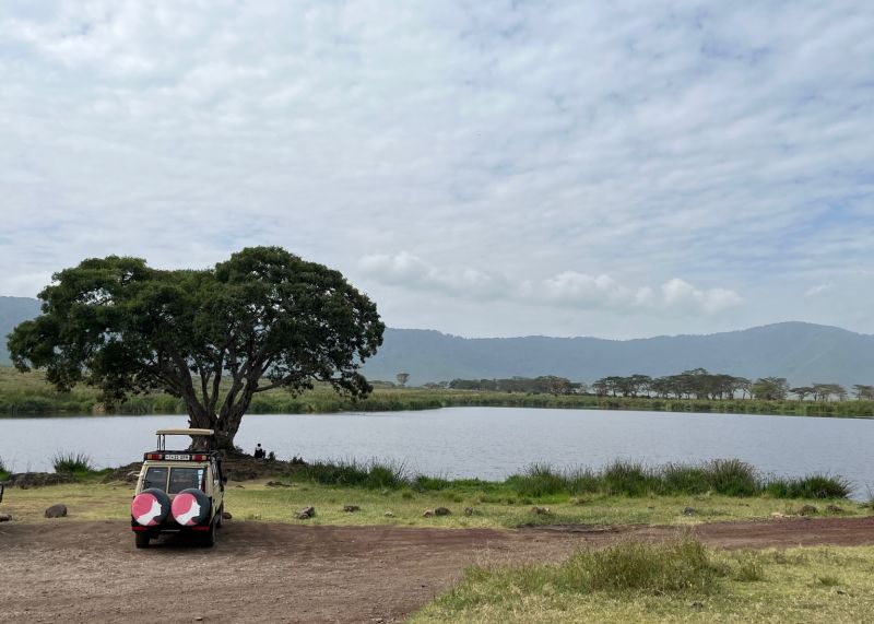 Luke. Ngorongoro Crater Follow Alice FA vehicle safari Tanzania 