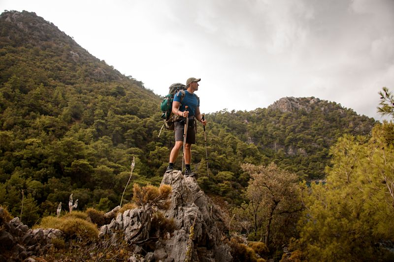 Male hiker in cap with rucksack and trekking poles standing on tall rock in forested mountains