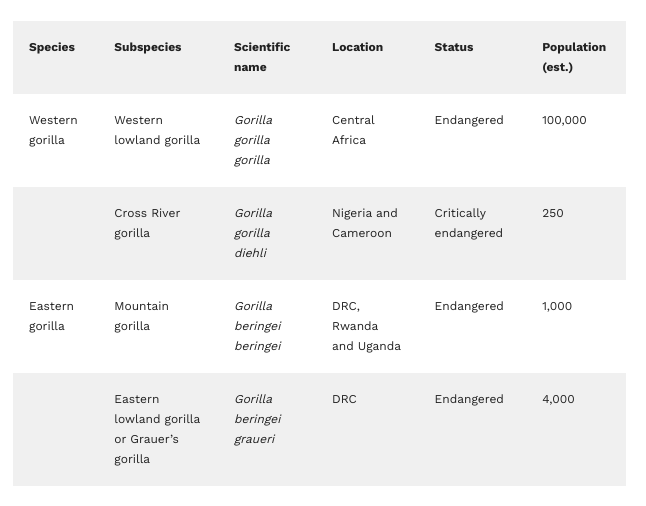 Gorilla species and subspecies table