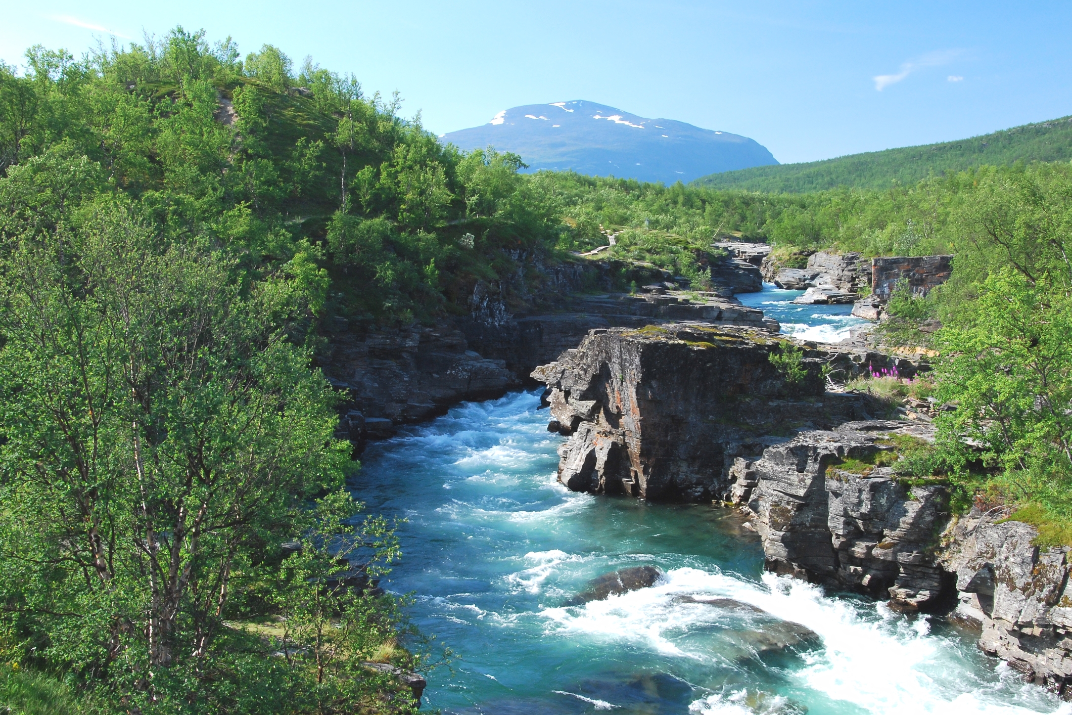 Abisko National Park Swedish Lapland