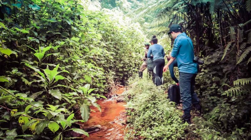 Gorilla trekkers by a muddy stream in the forest