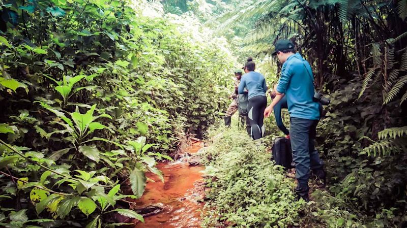 Gorilla trekkers by a muddy stream in the forest