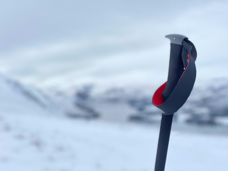 trekking pole grip and strap against backdrop of snowy mountains