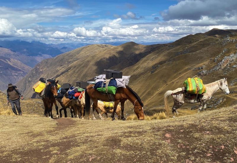 Andes mountains with horses and porters