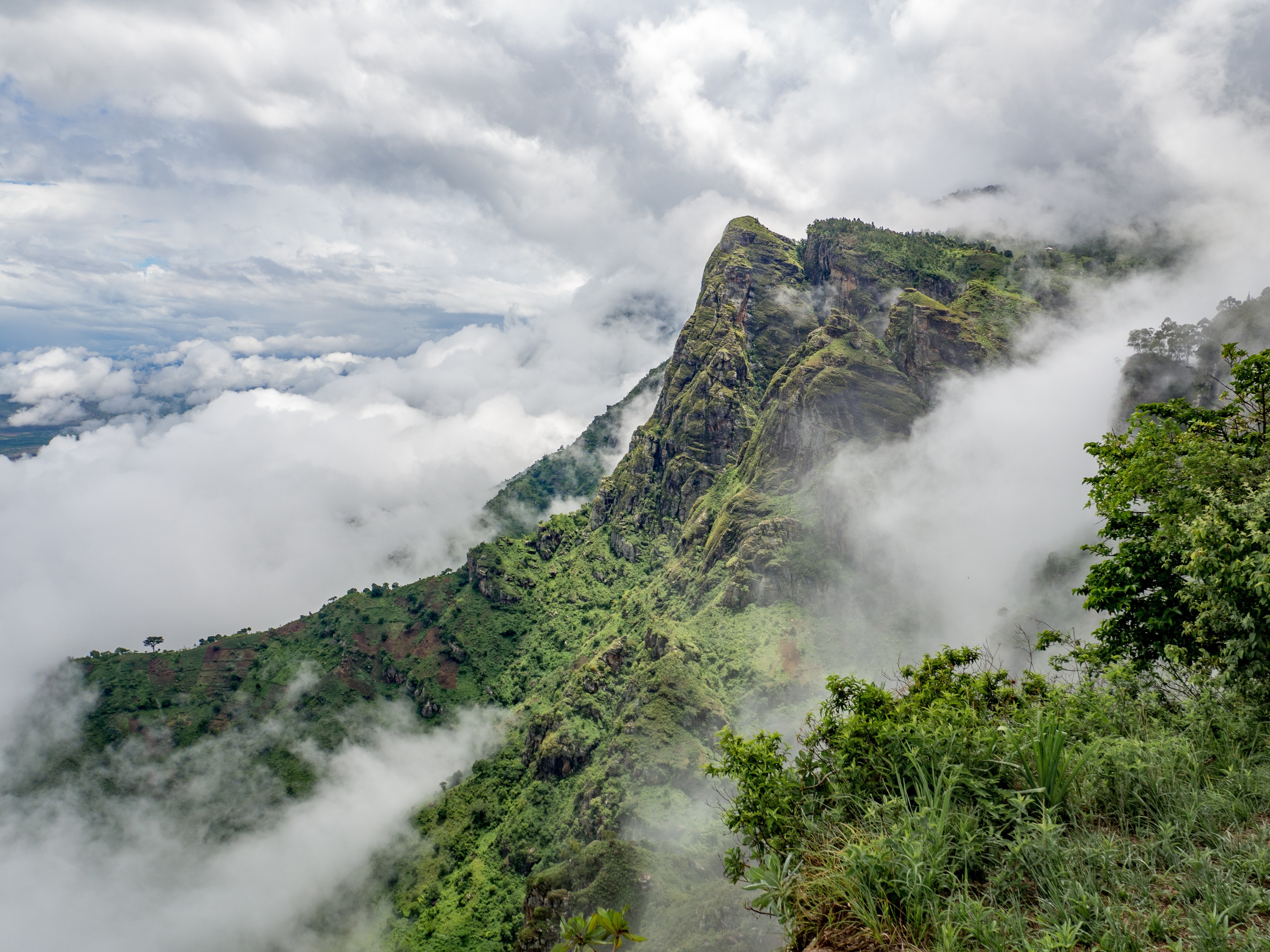 Misty Usambara Mountains in NE Tanzania