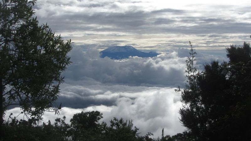 The peak of Kilimanjaro from a distance, surrounded by clouds, with forest in the foreground framing the picture