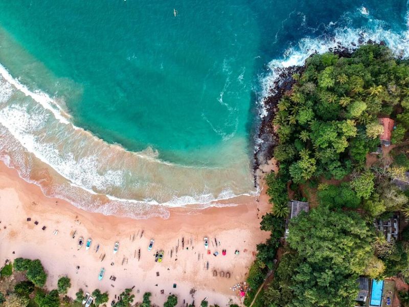 aeerial view of beach and palm trees