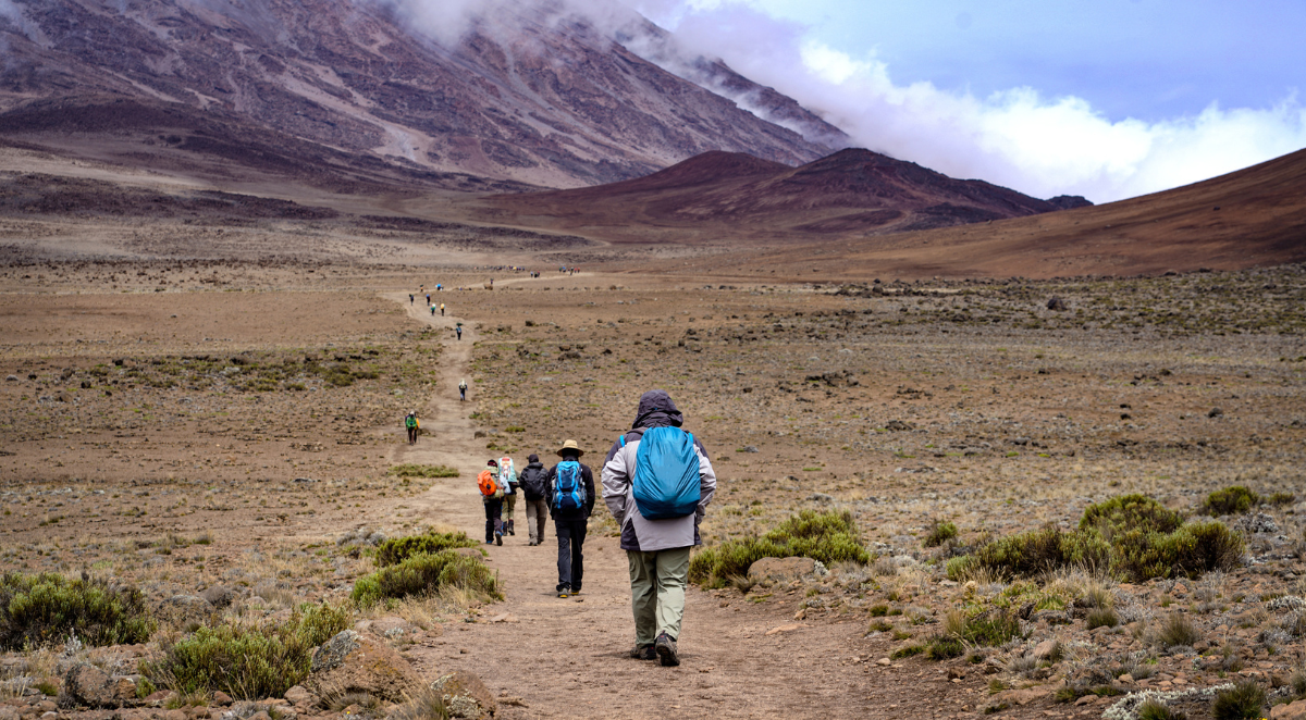 Group of hikers trekking Kilimanjaro mountain