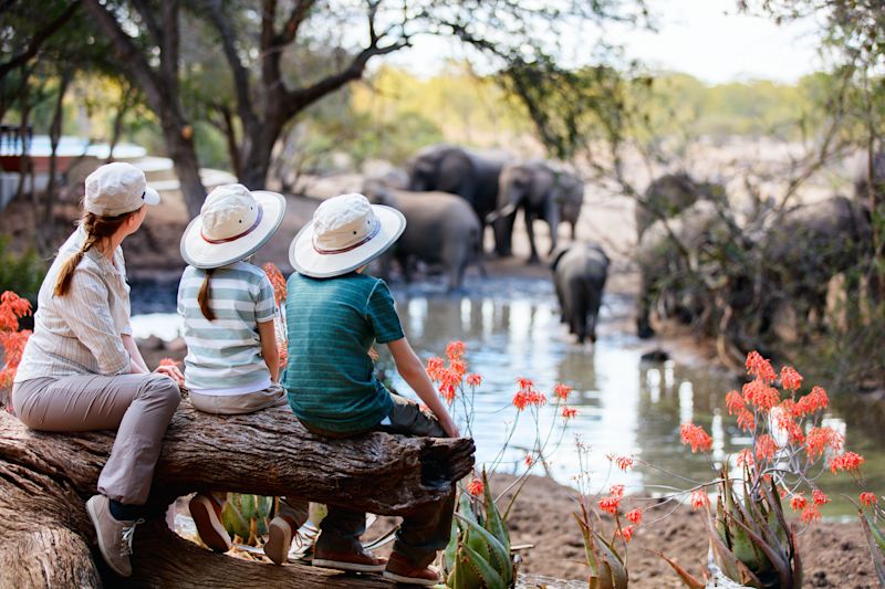 Pur. Woman and two children sitting on log watching elephants