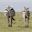 3 Zebras seen from behind in Kenya's Maasai Mara