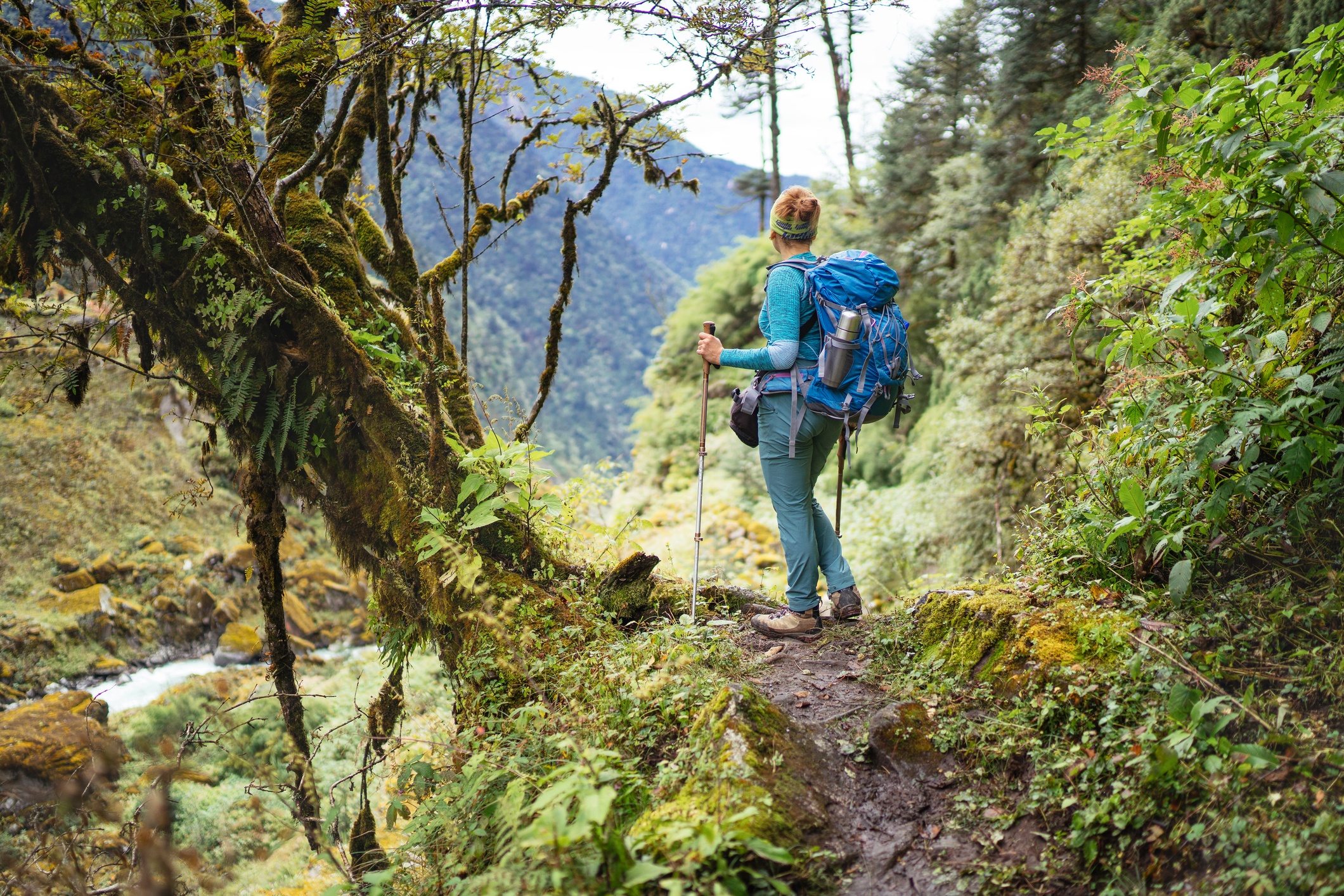 Young female with backpack and poles trekking walking Mera Peak climbing route through jungle rain forest in Makalu Barun National Park, Nepal
