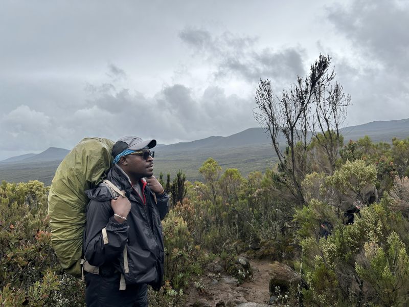Bobu : Robert Sichalwe, rainy moorland Kilimanjaro