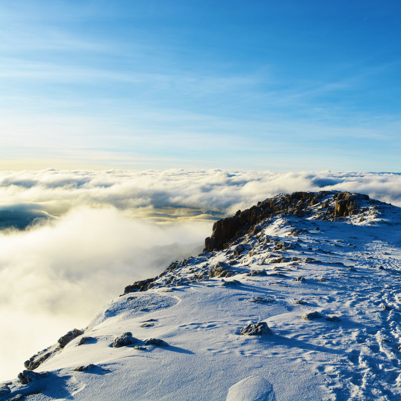 Snowy summit of Kilimanjaro