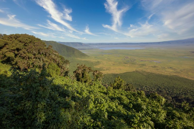 Forested crater rim and wall of the Ngorongoro Crater, Tanzania