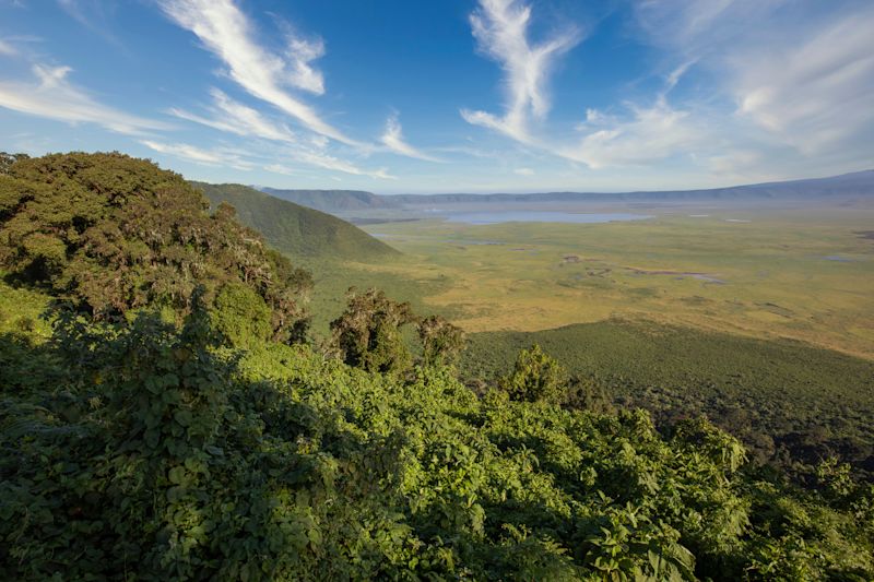 Forested crater rim and wall of the Ngorongoro Crater, Tanzania