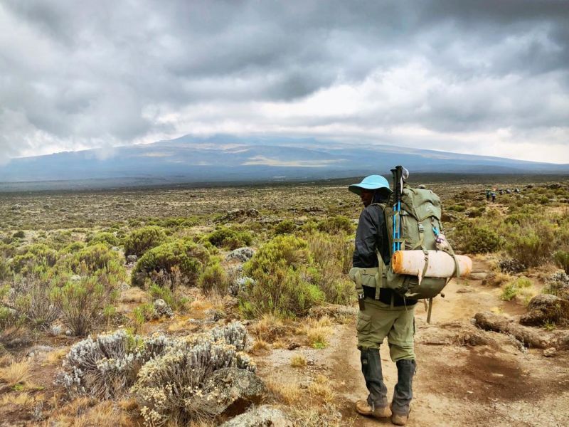 Kilimanjaro trekker moorland