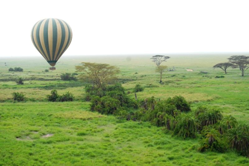 Balloon-Serengeti-green-1024x685.jpg