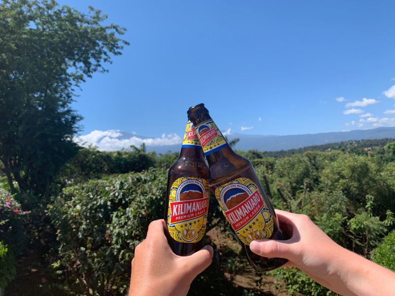 Kilimanjaro premium lager