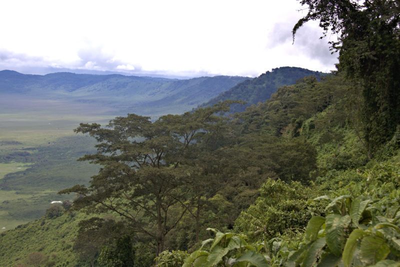 View from Ngorongoro Crater rim over lush, rainy season crater