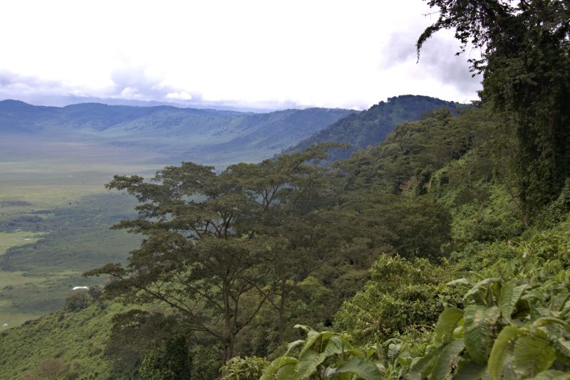 View from Ngorongoro Crater rim over lush, rainy season crater