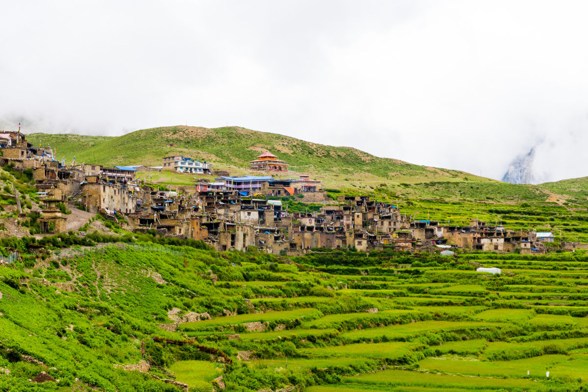 Green terraced fields and traditional architecture in Nar village, Annapurna, Nepal