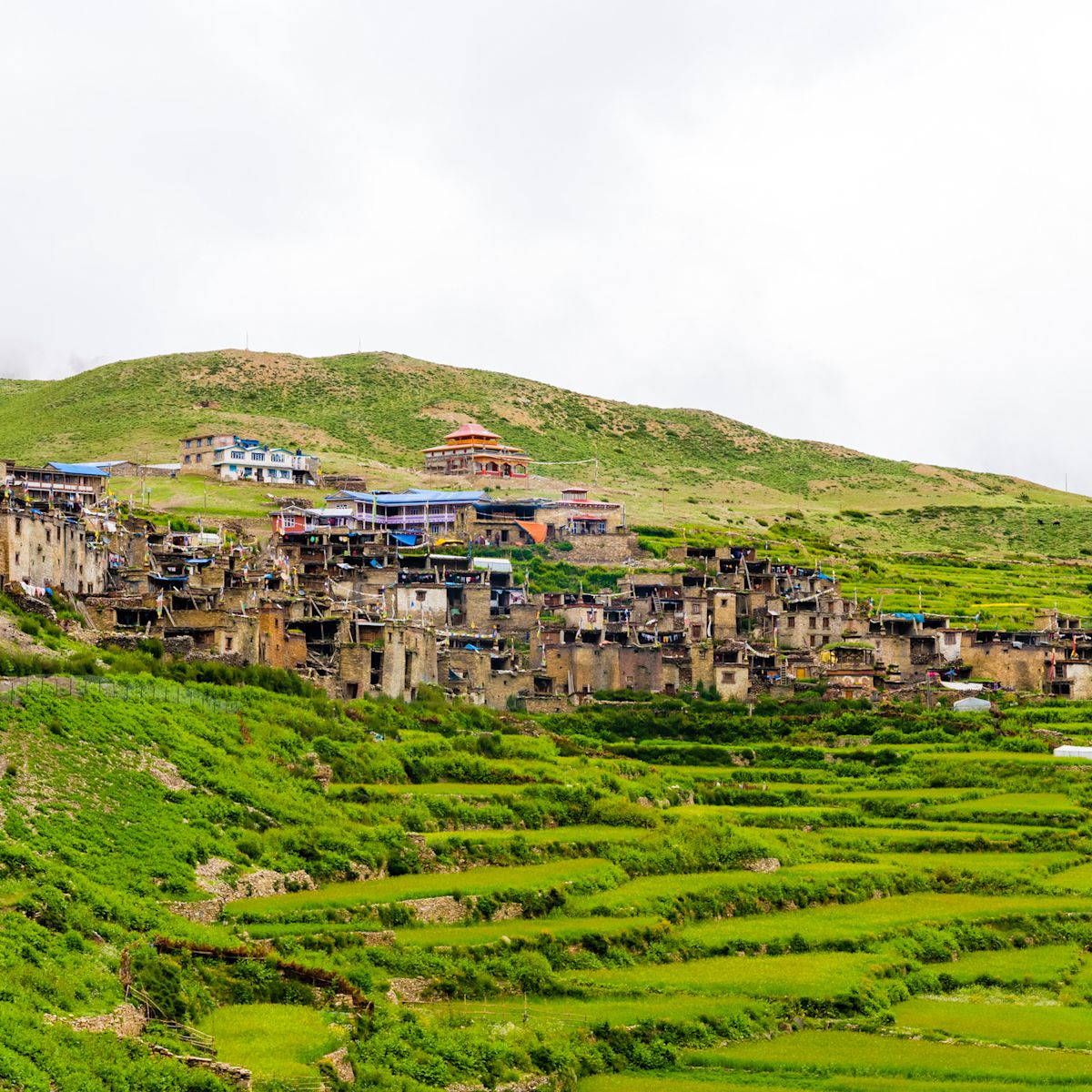 Green terraced fields and traditional architecture in Nar village, Annapurna, Nepal