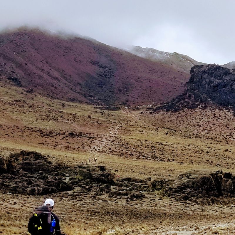 Kilimanjaro climber Alpine desert Lemosho route