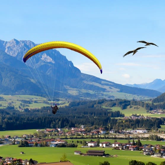 paragliding mountains scenery